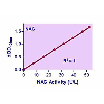 QuantiChrom™ ß-N-Acetylglucosaminidase Assay Kit