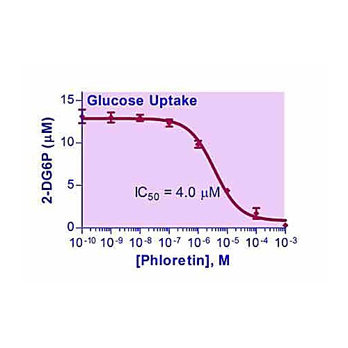 EnzyFluo™ Glucose Uptake Assay Kit