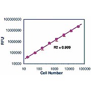 CellQuanti-Blue™ Cell Viability Assay Kit