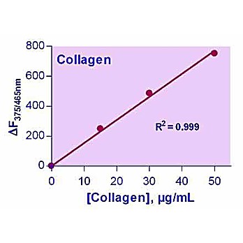 EnzyFluo™ Collagen Assay Kit