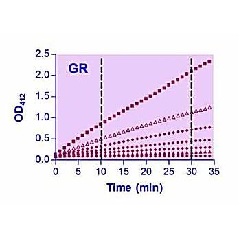 EnzyChrom™ Glutathione Reductase Kit