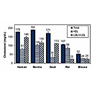 EnzyChrom™ HDL and LDL/VLDL Assay Kit