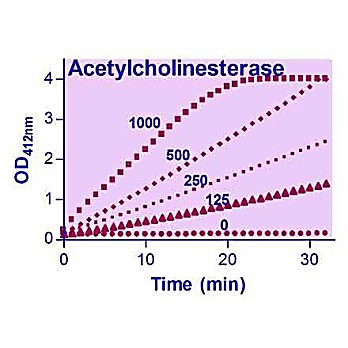 QuantiChrom™ Acetylcholinesterase Assay Kit