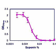 CellQuanti-MTT™ Cell Viability Assay Kit