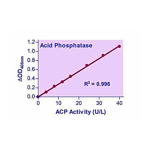 QuantiChrom™ Acid Phosphatase Assay Kit