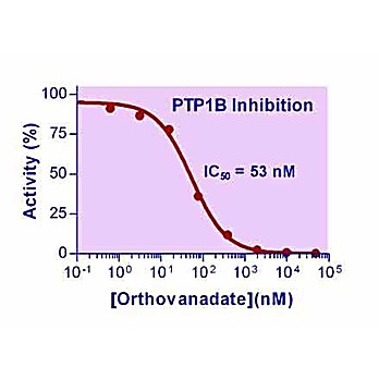 Phosphatase Inhibitor