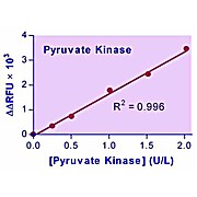 EnzyChrom™ Pyruvate Kinase Assay Kit