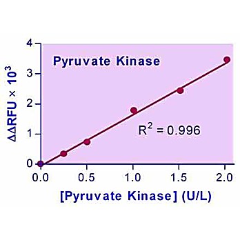 EnzyChrom™ Pyruvate Kinase Assay Kit