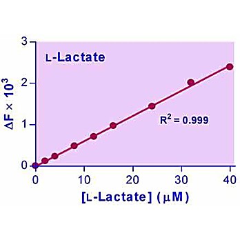 EnzyFluo™ L-Lactate Assay Kit