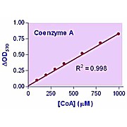 EnzyChrom™ Coenzyme A Assay Kit