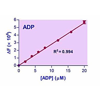 EnzyChrom™ ADP Assay Kit