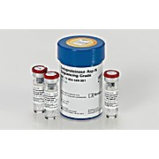 ROCHE Endoproteinase Asp-N Sequencing Grade, from Pseudomonas fragi