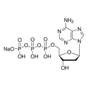 ROCHE dATP, PCR Grade, sodium salt