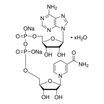ROCHE NADH, Grade II, disodium salt