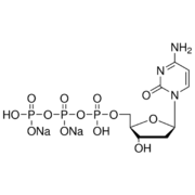 ROCHE dCTP, PCR Grade, sodium salt