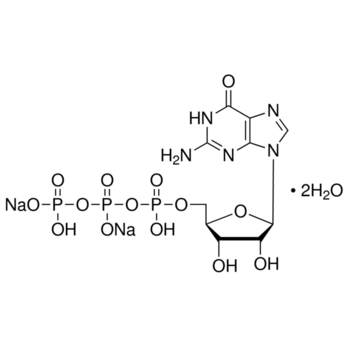 ROCHE GTP, Disodium salt
