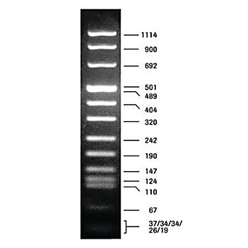 ROCHE DNA Molecular Weight Marker VIII