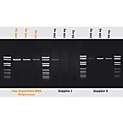 ROCHE Pwo SuperYield DNA Polymerase