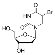 ROCHE 5-Bromo-2'-deoxyuridine