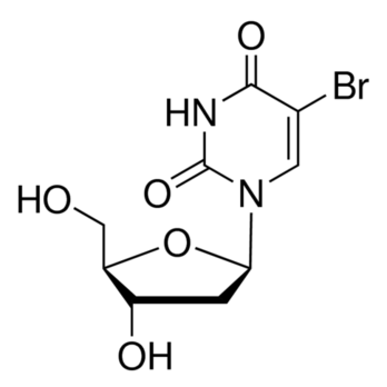 ROCHE 5-Bromo-2'-deoxyuridine
