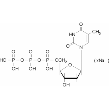 ROCHE dTTP, PCR Grade, sodium salt