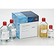 ROCHE DIG Wash and Block Buffer Set