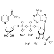 ROCHE NADPH, Tetrasodium salt