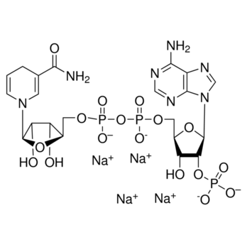 ROCHE NADPH, Tetrasodium salt