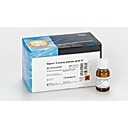 ROCHE Dispase II (neutral protease, grade II)