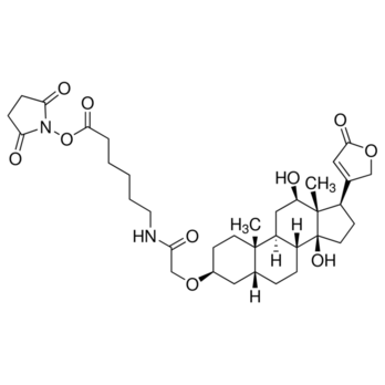 ROCHE Digoxigenin-3-O-methylcarbonyl-ε-aminocaproic acid-N-hydroxysuccinimide ester