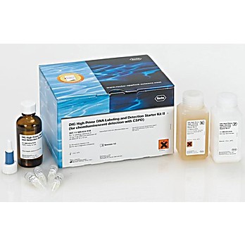 ROCHE DIG-High Prime DNA Labeling and Detection Starter Kit II