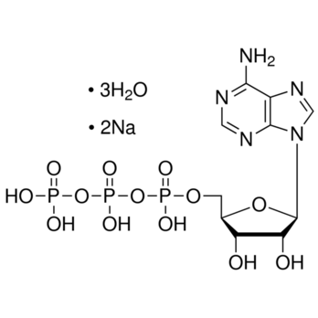 ROCHE Adenosine 5'-triphosphate disodium salt trihydrate, Disodium salt