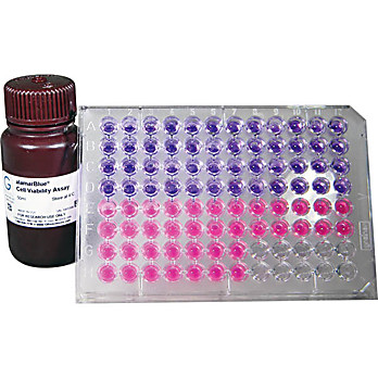 AlamarBlue Cell Viability Assay Reagent