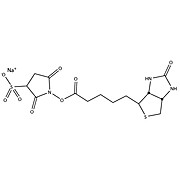 HOOK™-sulfo-NHS-Biotin