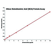 Micro Bicinchoninic Acid (BCA) Protein Assay