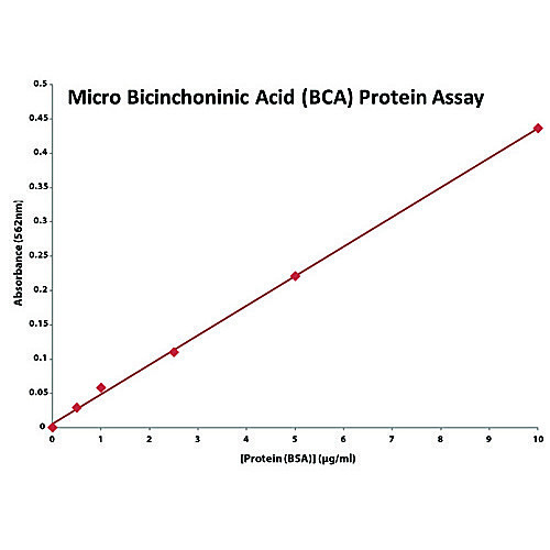 Micro Bicinchoninic Acid (BCA) Protein Assay