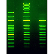 LabSafe Nucleic Acid Stain