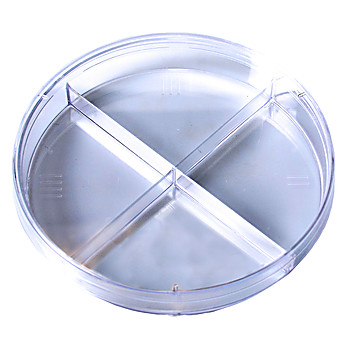 Kord™ 100 x 15 Quad Plate Petri Dish, No Rim for Automation