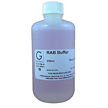 RAB Buffer (Reassembly Buffer)