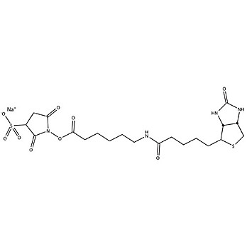HOOK™ Sulfo-NHS-LC-Biotin (Micro)