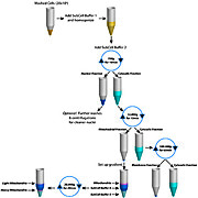 FOCUS™ SubCell