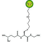 GST Elution Buffer