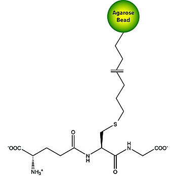 GST Elution Buffer