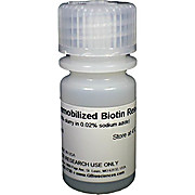 Immobilized Biotin