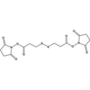 DSP (Dithiobis(succinimidyl Propionate))