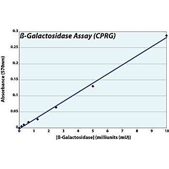 ß-Galactosidase Assay (CPRG)