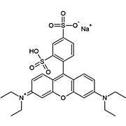 CytoScan™ SRB Cytotoxicity Assay