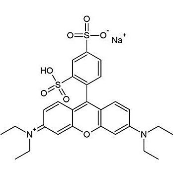 CytoScan™ SRB Cytotoxicity Assay
