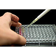 Well-Coated™ Glutathione Plates