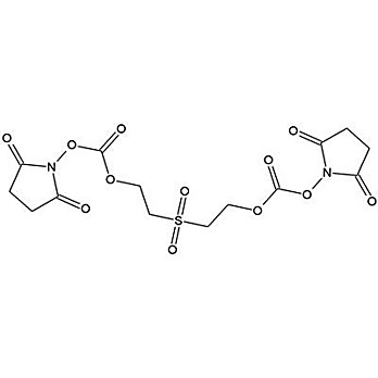 BSOCOES (Bis [2-(Succinimidooxycarbonyloxy)ethyl] Sulfone)